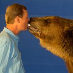 Real Bear